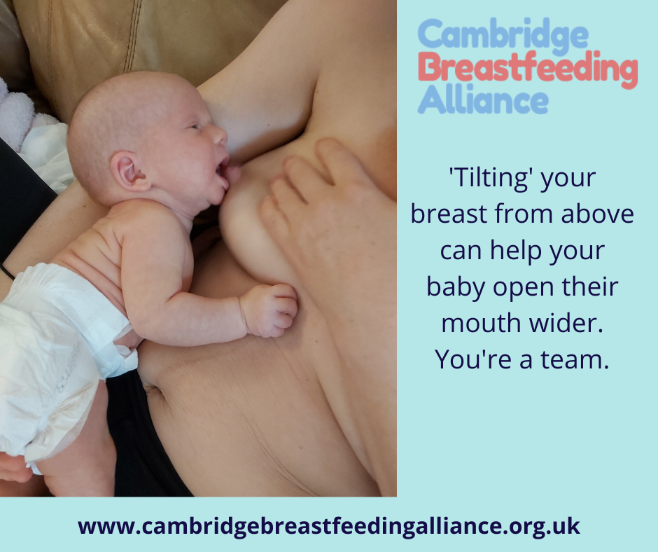 Image: baby in laid back position, rooting for the nipple. Mother has had on top of her breast, tilting her breast to help encourage a wider gap. Text: 'Tilting' your breast from above, can help your baby open their mouth wider. You're a team. 