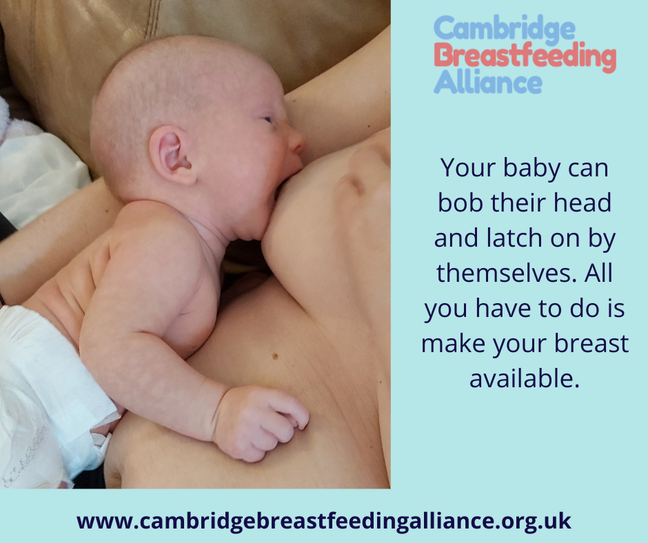 Close up image of baby latching on in laid back position. Showing how baby is rooting for the breast as her body is in close contact. Text: Your baby can bob their head and latch on by themselves. All you have to do is make your breast available. 