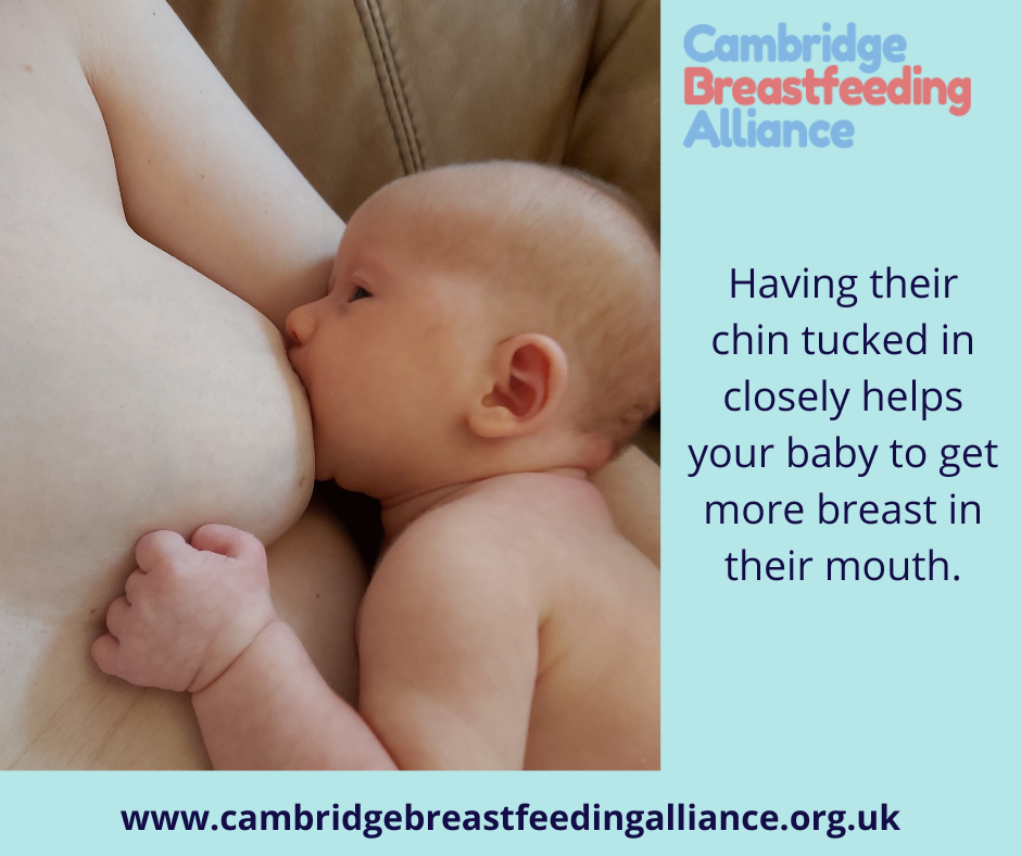 Image: close up of baby breastfeeding in a laid back position with her chin in deep and nose free. Her head is resting on her mother's upper arm. Text: Having their chin tucked in closely helps your baby to get more breast in their mouth. 