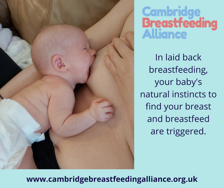 Image: baby and mother skin to skin in laid back position. Text: In laid back breastfeeding, your baby's natural instincts to find your breast and breastfeed are triggered. 